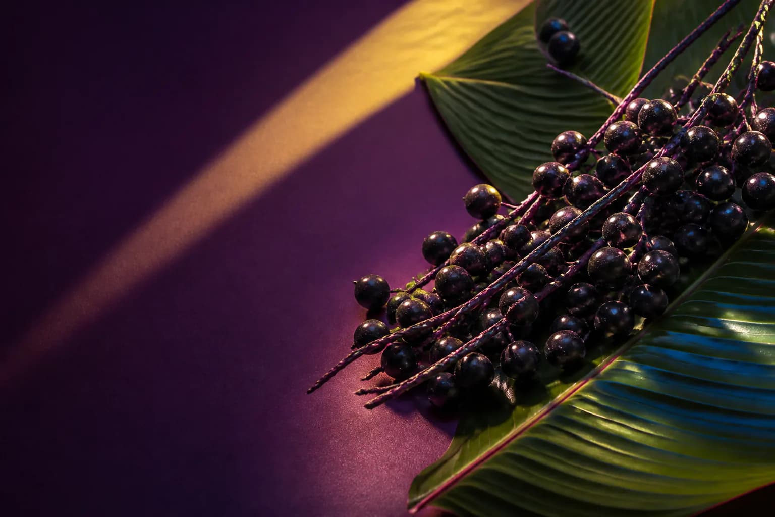 Projeto de site para loja de açaí